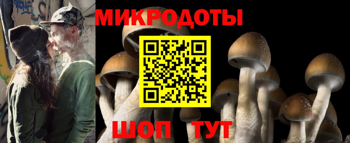 Галлюциногенные грибы Cubensis  Вход с VPN  Братск 
